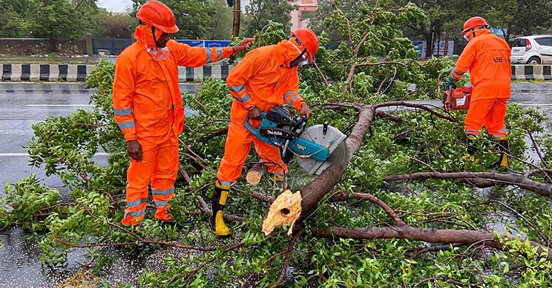 NDRF personnel clear trees uprooted following the landfall of Cyclone Biparjoy, in Gandhidham. Photo: PTI