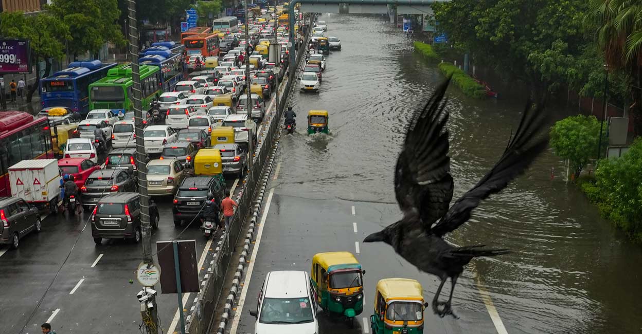 The city logged 133.4 mm of rain on July 10, 2003, and an all-time high of 266.2 mm on July 21, 1958. Photo: PTI