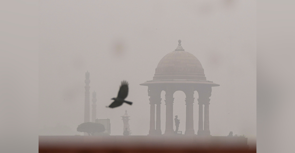 A bird flies past the North Block amid fog, in New Delhi. Photo: PTI