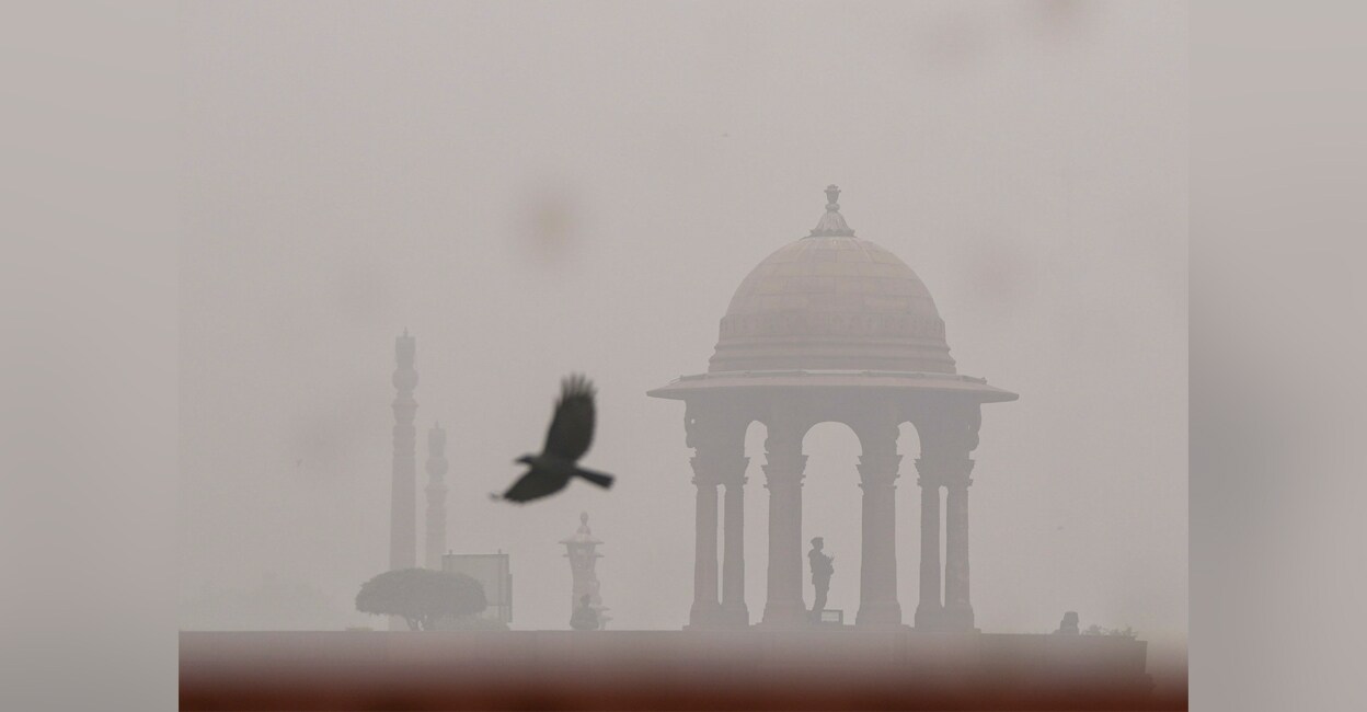 A bird flies past the North Block amid fog, in New Delhi. Photo: PTI
