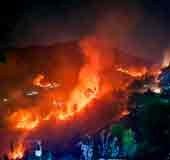 Nainital forest fire reaches residential areas; army summoned
