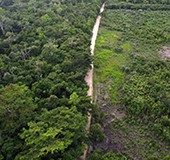 Explained | United Nations Forum on Forests (UNFF)