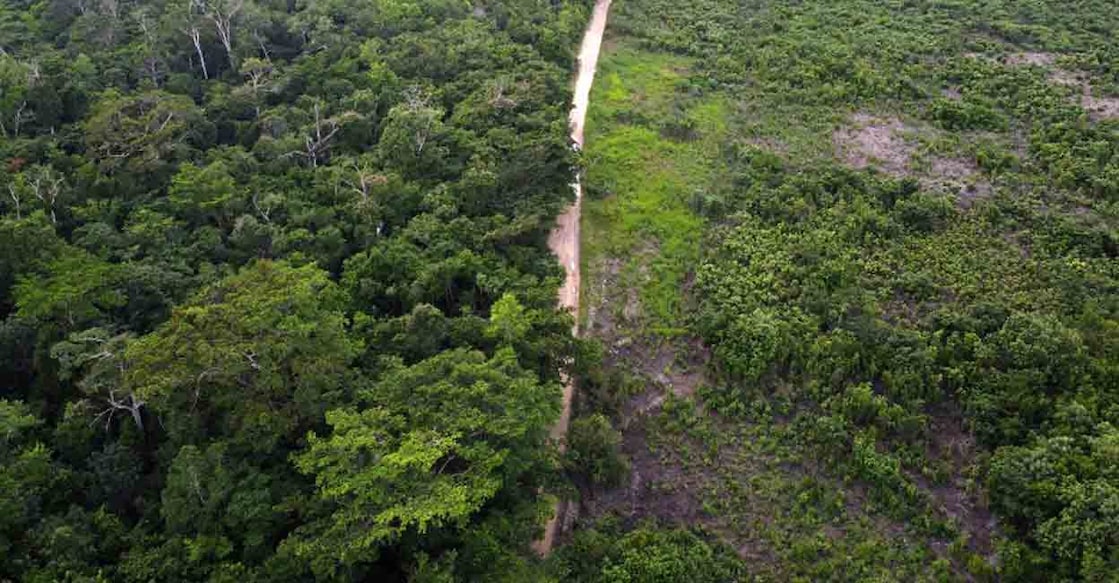 Forest In October 2000, the Economic and Social Council of the United Nations (ECOSOC) established the United Nations Forum on Forests (UNFF). Photo: AFP