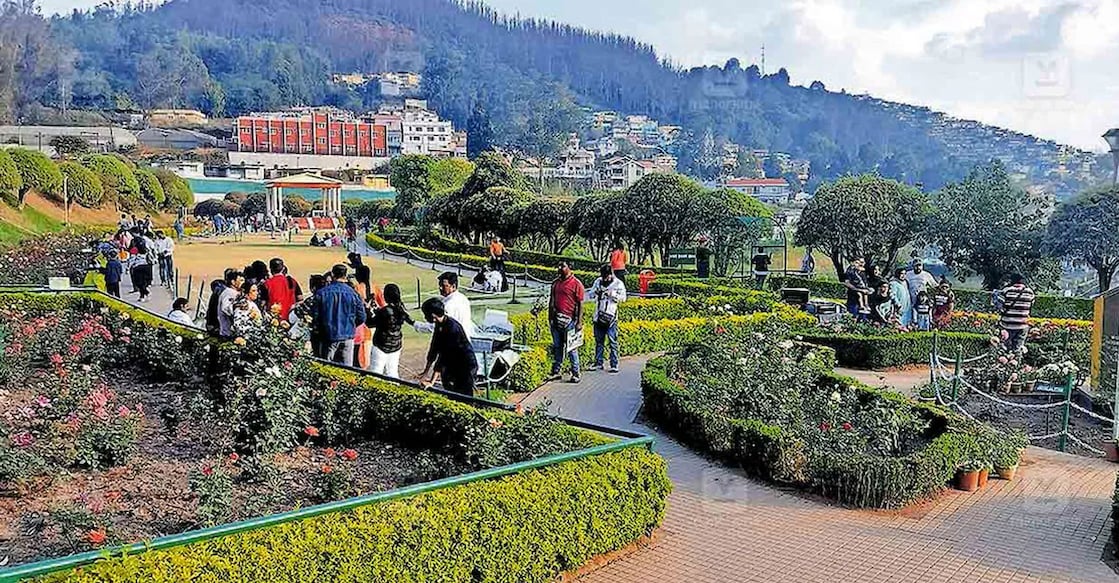 Representational image A file photo of the Rose Garden in Ooty.