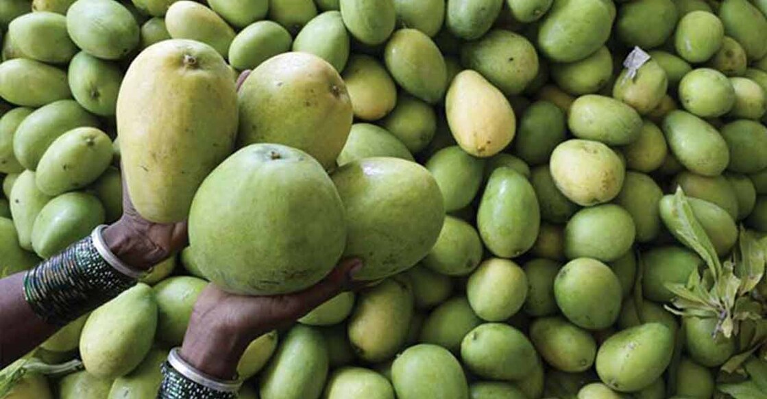 Fruit ripening is a combination of physiological, biochemical, and molecular processes which lead to changes in colour, sugar content, acidity, texture, and aroma. Photo: AFP