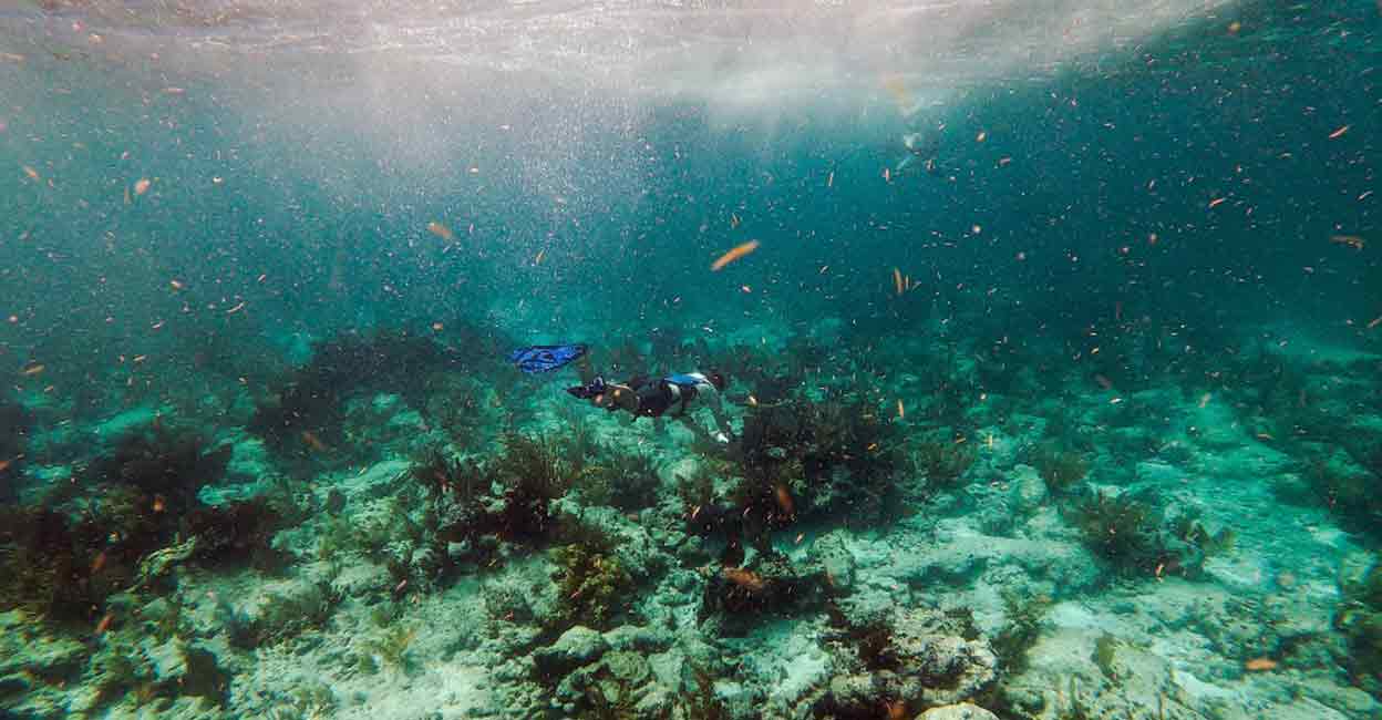 Ocean ecosystems create half the oxygen humans breathe and limit global warming by absorbing much of the carbon dioxide emitted by human activities. Photo: AFP