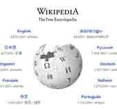 Don’t like India? Don’t work here: Delhi HC warns Wikipedia after non-compliance in ANI case