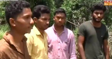 Youths who pelted stones at wild elephant surrender in Wayanad