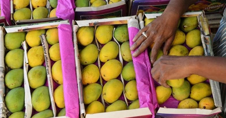 Mango import ban EU to send delegation to India