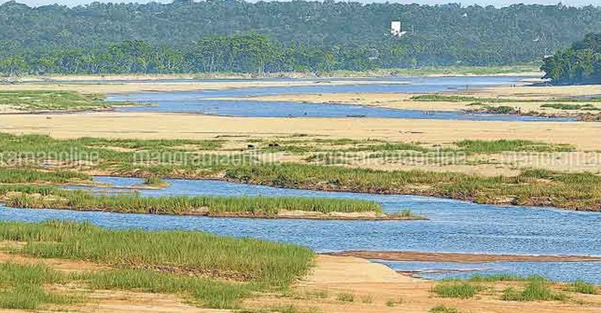 The Bharathapuzha lies partly dried up at Thirunavaya Chembikkal. The Bharathapuzha lies partly dried up at Thirunavaya Chembikkal.