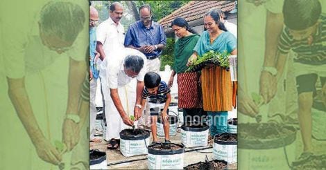 Pinarayi Vijayan's terrace farm