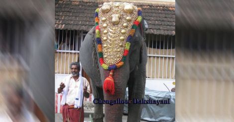 Jumbo feat: Dakshayani, the oldest elephant in Kerala set to enter Guinness World Records