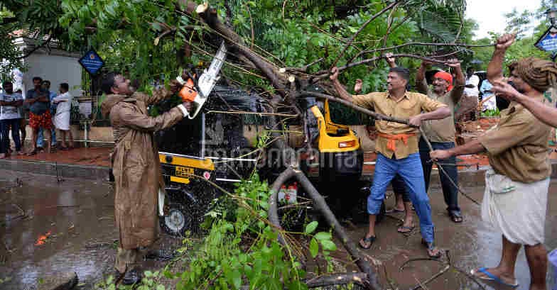 Rain Ravage: Several Houses Damaged, Trees Uprooted In Kerala | Rains ...