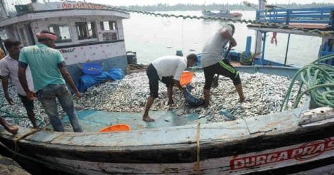 Alarming! Fishmongers use morgue chemical Formalin to preserve fish
