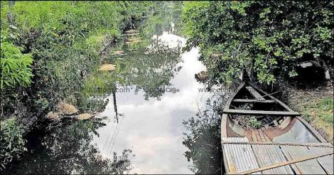 Kerala's 26% water sources polluted: study