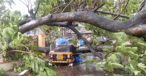 No cyclone alert on Nov 29, says Kerala CM; IMD says govt ignored even fax warnings. What's the truth?