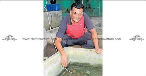 Guppy is not just a fish for Siju Cherian