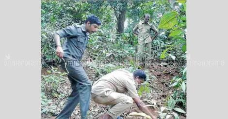 pathanamthitta-forest-officials