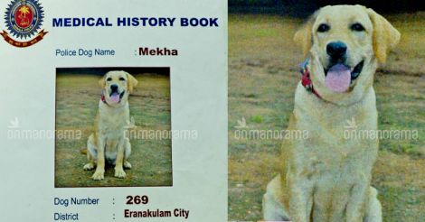 Kerala police dog Megha breathes her last, leaves her trainers heartbroken