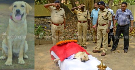 Kerala police dog Megha breathes her last, leaves her trainers heartbroken