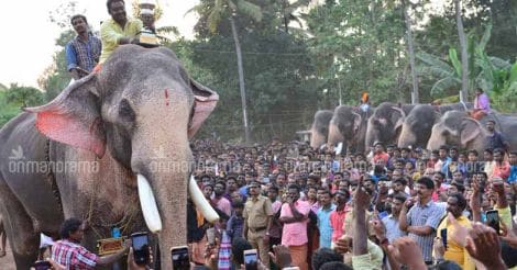 Thechikottukavu Ramachandran