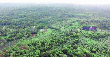 High Court orders a treasure hunt at historic Vennimala