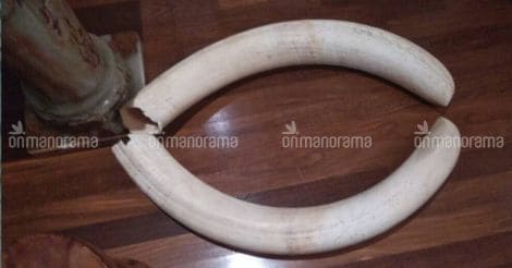  Ivory, sandalwood seized from house in Kochi