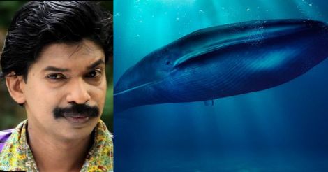 Santhosh Pandit's bait: why die playing Blue Whale when you can live watching my movies