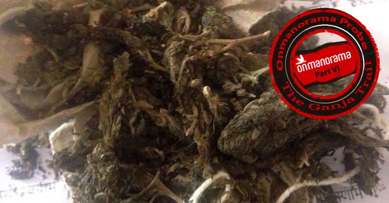 Kerala’s pot of problems: ganja fuels violence amid youth | ganja trail ...