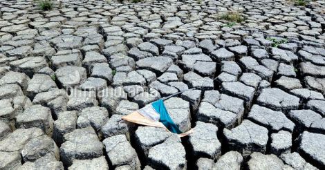 Scorching summer forces Kerala to reschedule working hours of laborers