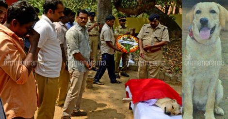 Kerala police dog Megha breathes her last, leaves her trainers heartbroken | Pix