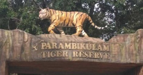 Wild fire broke in Parambikulam Tiger Reserve engulfing 50 hectares of forest