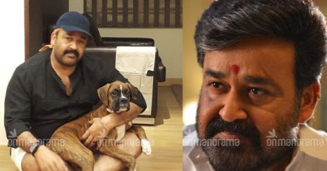 Happy Birthday Mohanlal: why he is the king of Mollywood