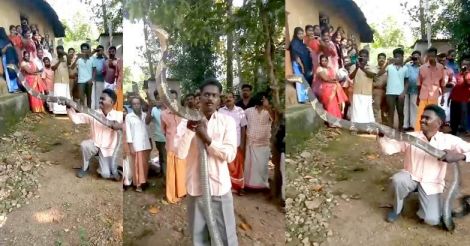 Vava, the vanquisher of kings, counts 119. It’s a queen though