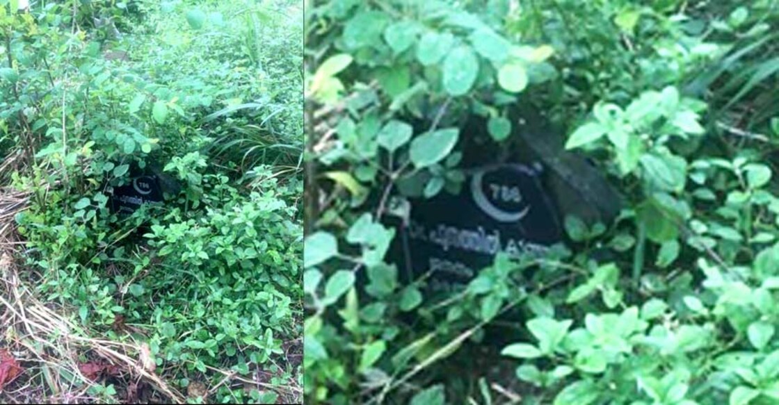 M Mukundan's viral post saves Punathil's tomb from oblivion 