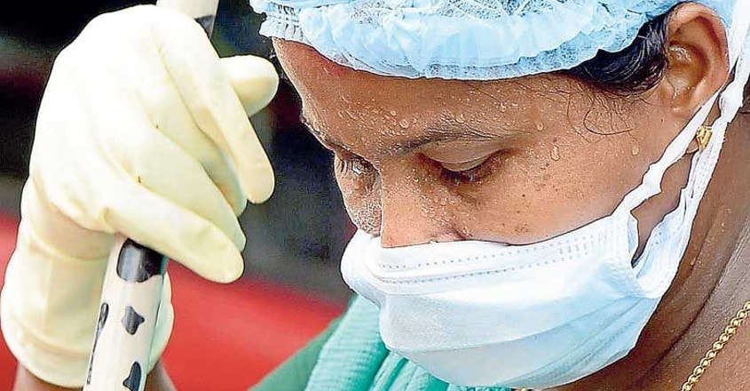 First Nipah casualty did eat fruits bitten by bats: Probe First Nipah casualty did eat fruits bitten by bats: Probe