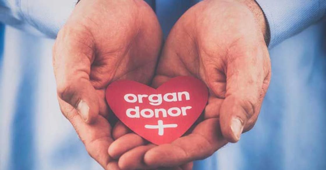Hereafter, Kerala govt to keep a tab on living organ donation too