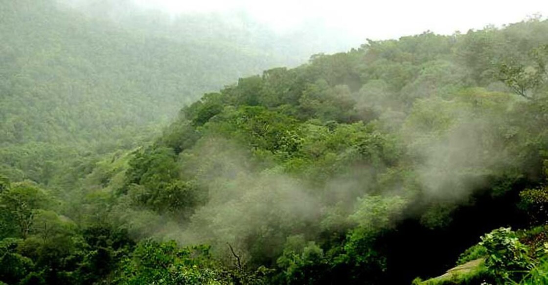 As the 3,115 sq. km land at the Western Ghats in the state gets the exemption from tough eco regulations, the areas open up for construction and industries. 