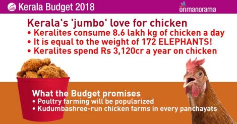  Isaac's Kerala Budget