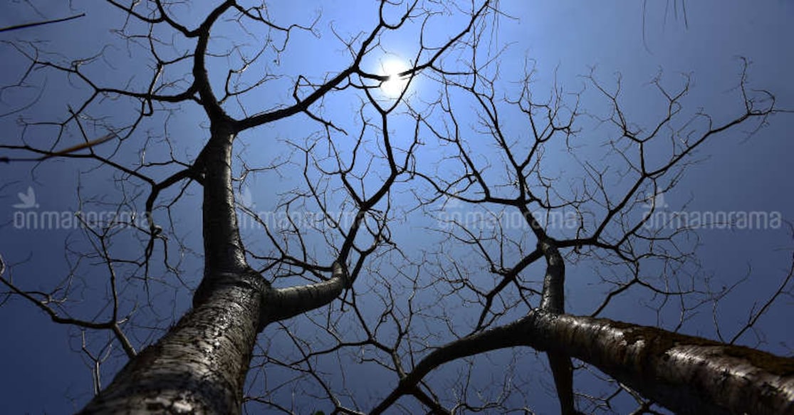 Summer heat: 109 sunburn incidents in Kerala