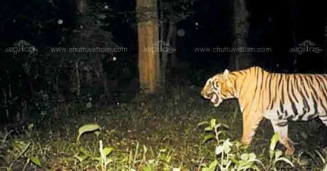 Konni village on edge over 'hoax' social media alerts about tiger