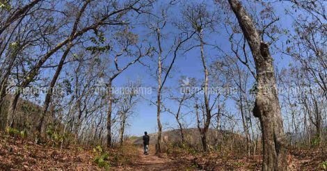 Litigants take royal route to claim a forest as their own