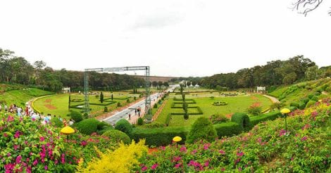 Two Keralites die as tree falls on them at Brindavan Gardens