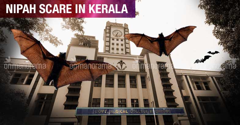 Tracing The Origin Of Nipah Virus Is Crucial Expert