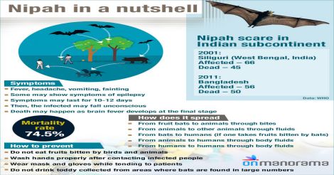 Nipah: Symptoms, Precautions and Prevention