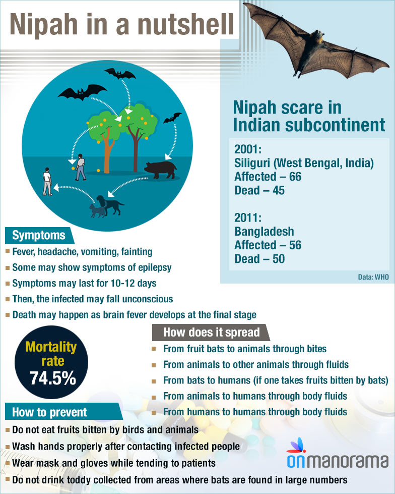 nipah-virus-graphics