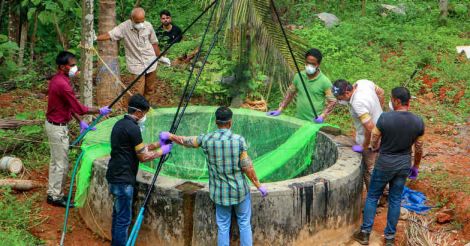 Nipah death toll rises to 4, Kerala on high alert