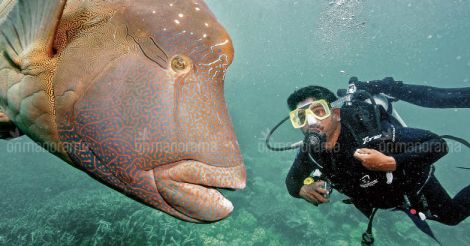 Undersea rail track and other wrecks: This fisherman dives into sunken history
