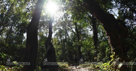 Villagers red tape forest office to protest state apathy