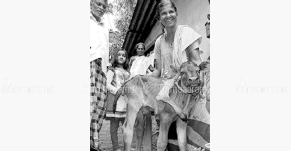 Calf with six legs sparks curiosity